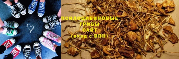 стаф Абинск