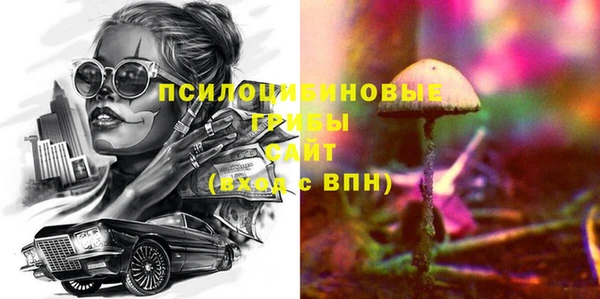 круглые Абаза