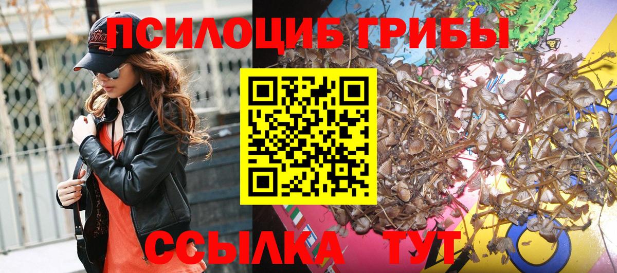 Домодедово  Псилоцибиновые грибы прущие грибы  Вход с VPN 