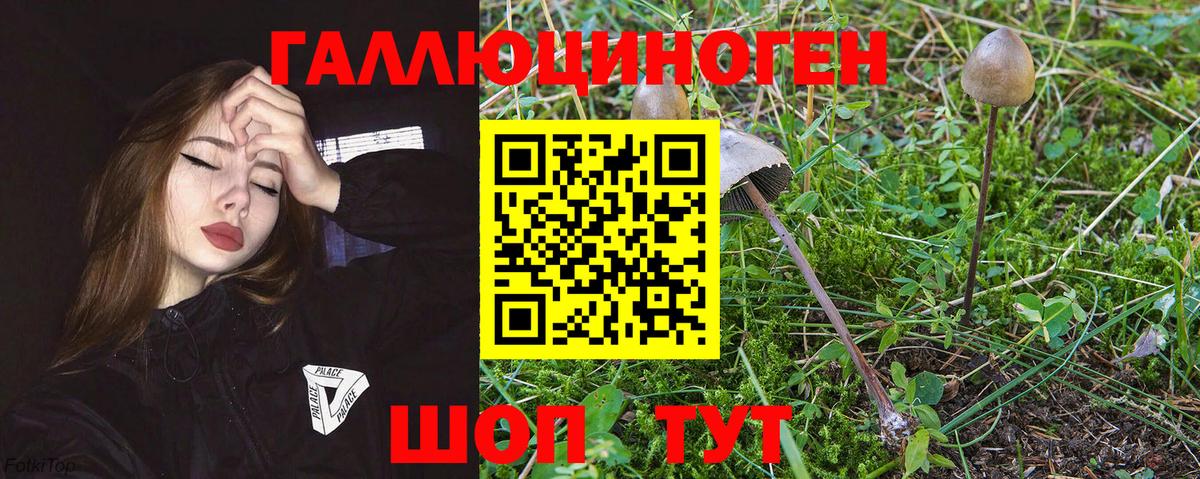 Галлюциногенные грибы GOLDEN TEACHER Домодедово